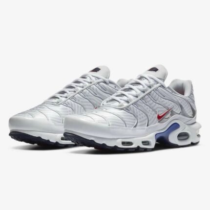 Nike Air Max Plus TN “ Euro Tour”
