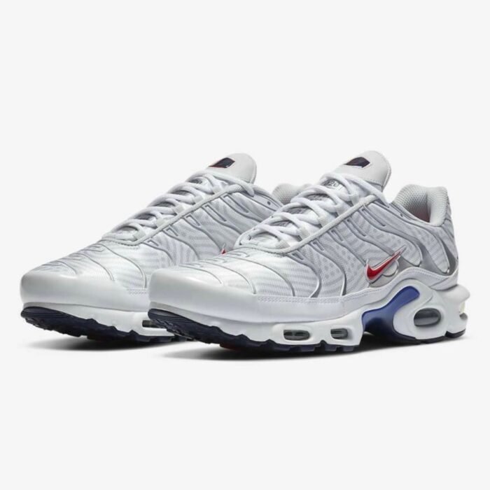 Nike Air Max Plus TN “ Euro Tour”